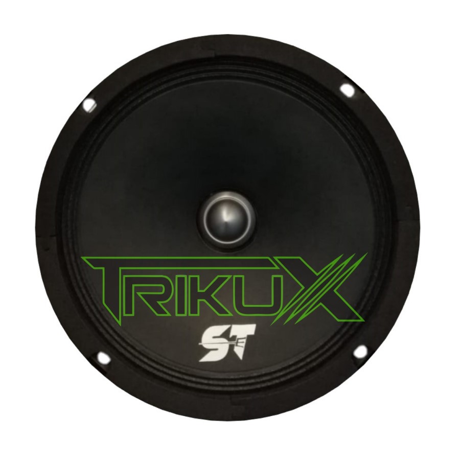 MEDIO RANGO SCANDALTEK 6.5" ST-MR651 - Imagen 2